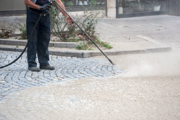 Best Driveway Pressure Washing  in White City, FL