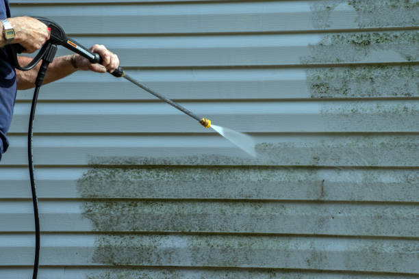 Best Graffiti Removal  in White City, FL